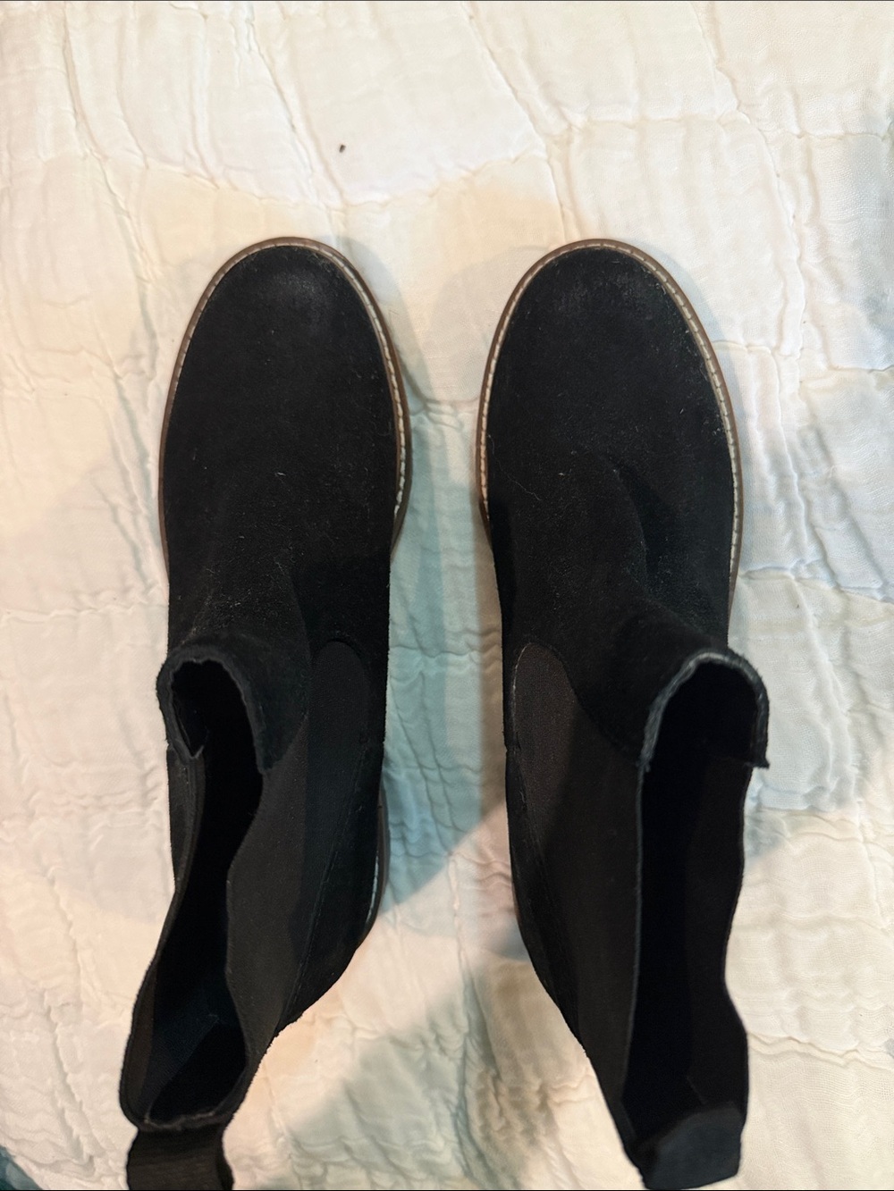 Dolce Vita Black Suede Chelsea Ankle Boots